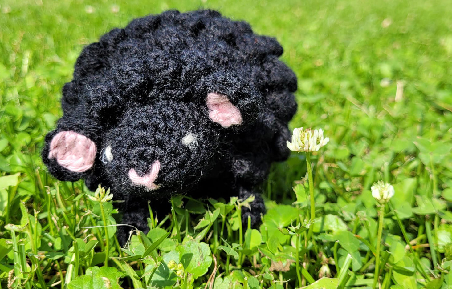 Lammas
